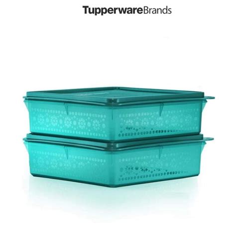 Tupperware Mosaic Snack Stor 2 9L 1 Pcs Shopee Malaysia