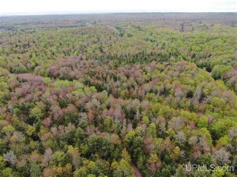 Munising Alger County Mi Undeveloped Land Lakefront Property