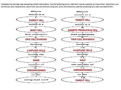 Mitosis Vs Meiosis Complete The Concept Map Comparing