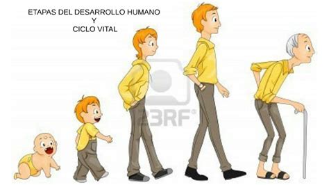 Etapas Del Desarrollo Humano Y Ciclo Vital By Cristian Sepulveda On Prezi Next