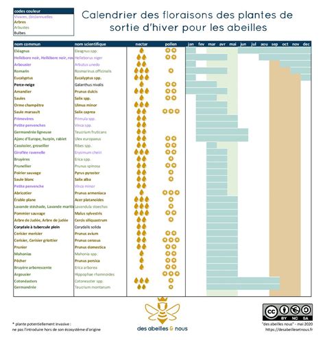 Calendrier S Des Floraisons Des Plantes Pour Les Abeilles