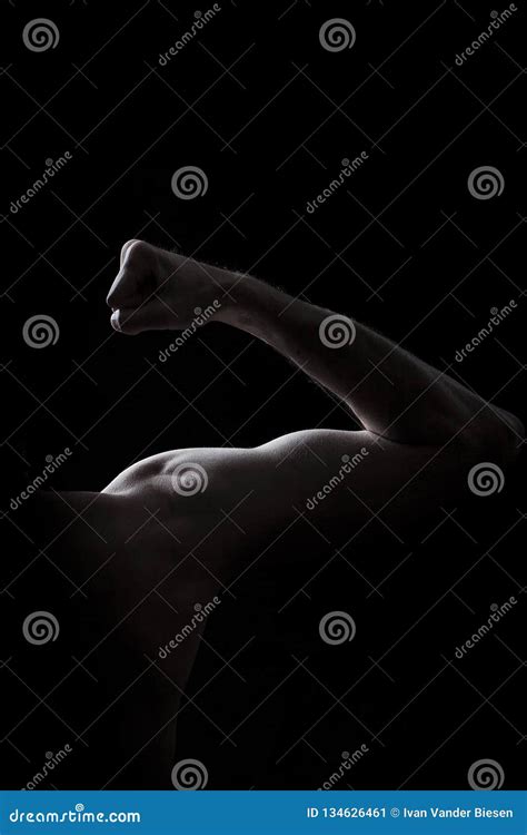 Man Shoulder Arm Biceps Muscle Stock Image Image Of Fist Hand 134626461