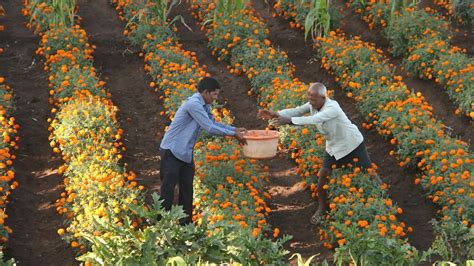 Elevar Equity por qué un fondo de impacto invierte en startups en América Latina Infobae