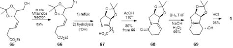 scheme  synthesis  swainsonine  p  sharma  al methodology