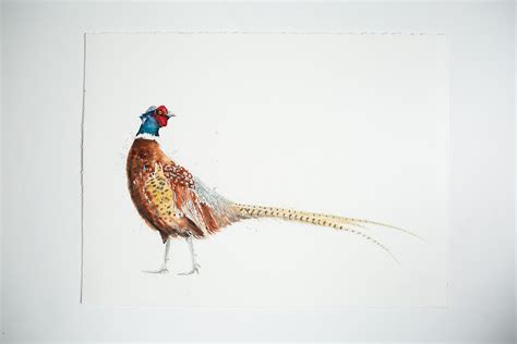 Pheasant Painting Original Pheasant Watercolour Painting Pheasant X