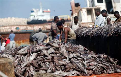 Fishing Season in Somalia