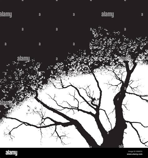 Vector tree background Stock Vector Image & Art - Alamy