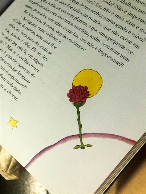 Frase Da Rosa Do Pequeno Príncipe - O Pequeno Príncipe - A Rosa | Rosa do pequeno principe, Princepezinho ...