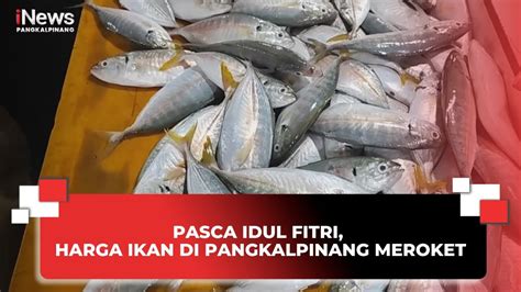 Pasca Idul Fitri Harga Ikan Di Pangkalpinang Meroket Youtube