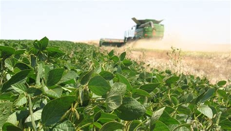 Granero Del Mundo C Mo Invertir En Acciones Del Agro Argentino