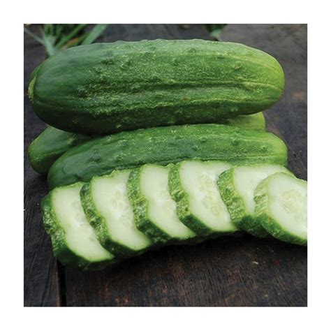 High Mowing Organic Seeds 2450 A National Pickling Cucumber Seed