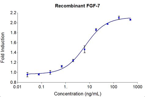 Proteintech FGF 7 KGF Endotoxin Free Recombinant Protein Human Cell