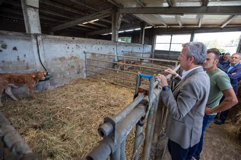 El Pp Asienta Su Mayor A Absoluta En Lugo Y Ourense Frente A La