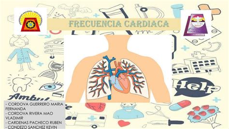 Frecuencia Cardiaca Kevin Condezo Udocz