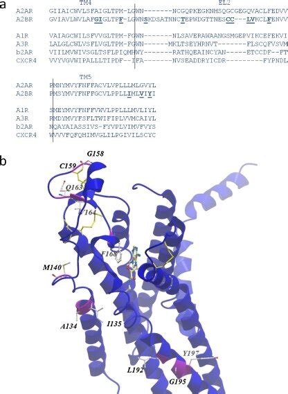 Mutated Residues Of The A2br Mapped On The Crystal Structure Of The Download Scientific Diagram