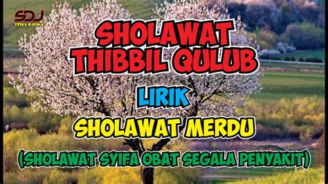 Sholawat Thibbil Qulub Sholawat Syifa Obat Segala Penyakit Youtube