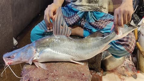 Amazing Fresh Ayer Fish Cutting Skills In Bangladesh Local Fish Market