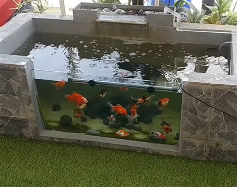 Sketsa Ekosistem Kolam Sketsa Gambar Ikan Dan Kolam Koleksi Gambar