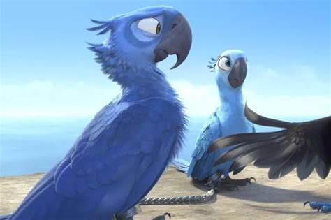 Rare parrot from hit film Rio is on the brink of EXTINCTION - World ...