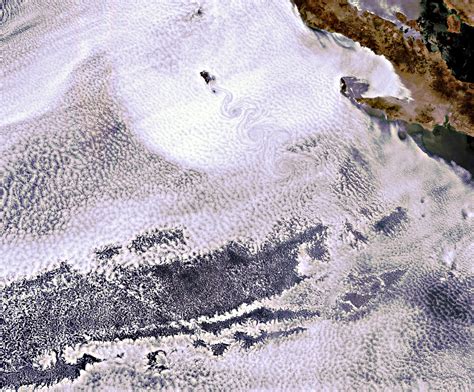 ESA - Island of Guadalupe