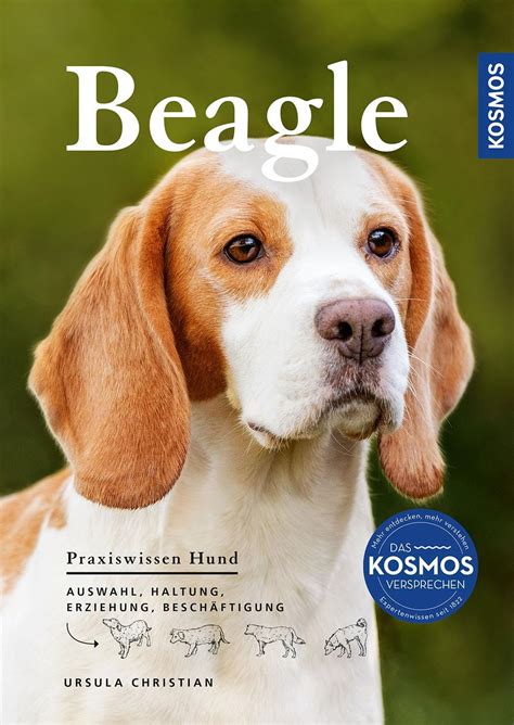 Beagle Auswahl Haltung Erziehung Besch Ftigung Amazon Co Uk