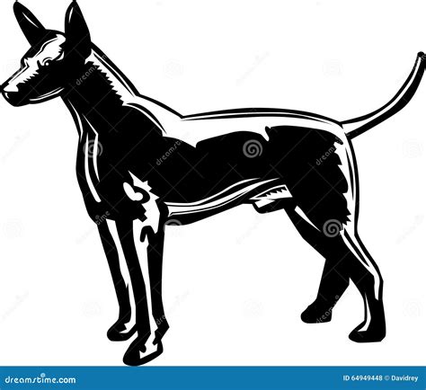 Profile Xoloitzcuintle Mexican Hairless Stock Illustration - Illustration of carved, head: 64949448