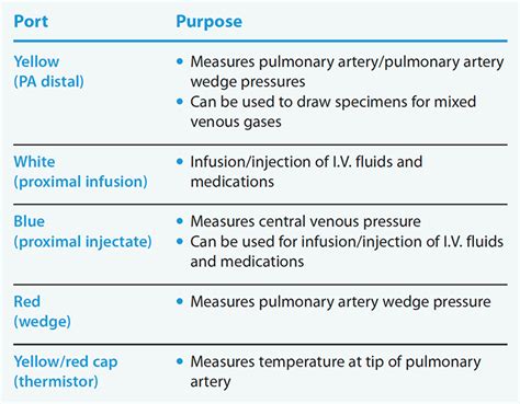 Caring For Patients Receiving Vasopressors In The Icu