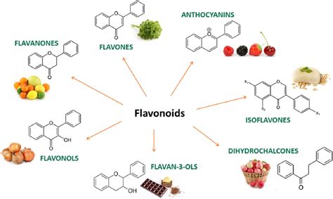 Main subclasses of flavonoids and examples of food sources. | Download ...