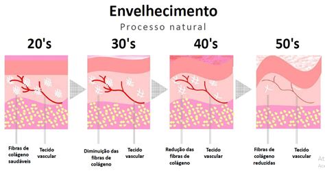 Explorando A F Rmula Col Geno Imunidade Lv