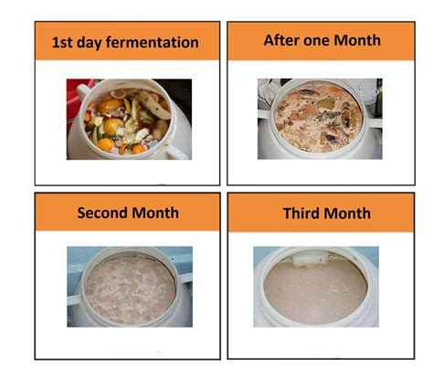 How to Make Eco Enzyme | 环保酵素 Enzyme SOS