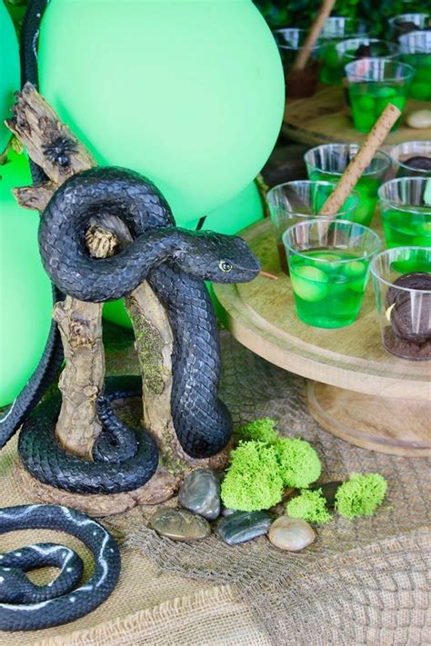 Bug And Reptile Themed Birthday Party In 2020 Reptile Party Birthday