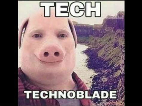 Technoblade face reveal | SlipperyTum Amino