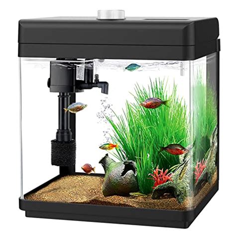 Best Desk Fish Tank 2024 Vet Ranch We Love Pets