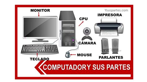 El Computador Y Sus Partes Listado Y Sus Partes Hot Sex Picture