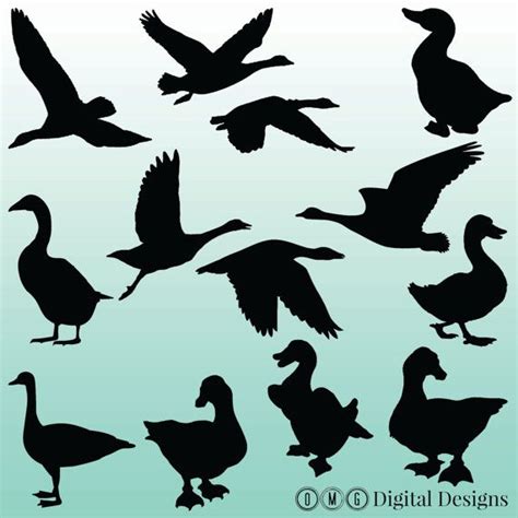 12 Goose Silhouette Clipart Images Clipart by OMGDIGITALDESIGNS ...