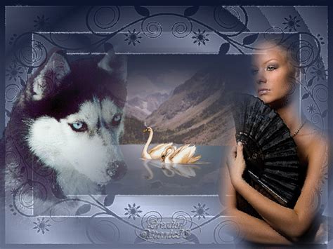 bienvenue chez la ch'ti