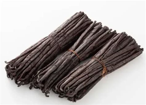 Vanilla Beans Manufacturers Vanilla Beans Suppliers Eworldtrade