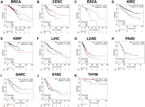 A K Relationship Between Rcc2 Expression And Overall Survival