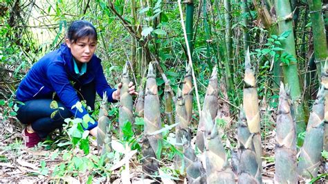 Harvest Bamboo Shoots Goes To The Market Sell Build A Bamboo House To