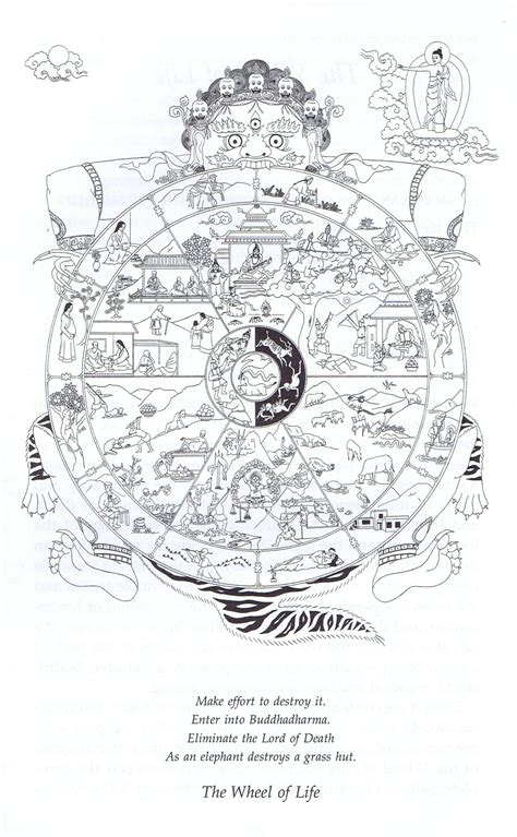 Wheel Of Life Scan 1384×2240 Buddhist Wheel Of Life Wheel Of