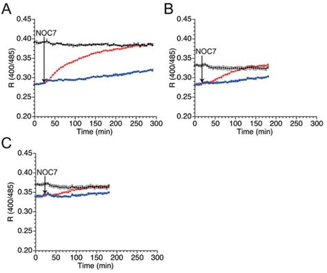 Time Course Changes In R Values Of Mutants A B