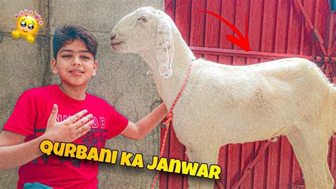 Alhamdullilah🥰 Apna Qurbani Ka Janwar Leliya ️🤩 Kitnay Ka Liya