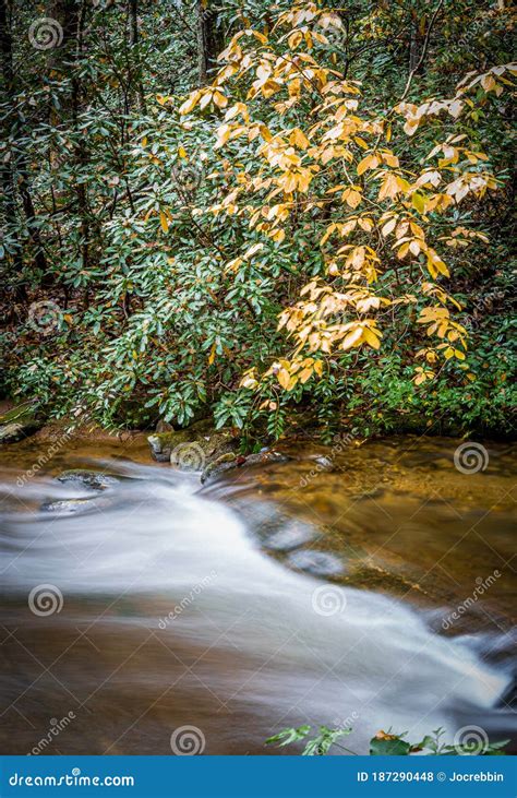 A Gentle Flowing Cascade Waterfall Surrounded By Lush Greenery Royalty