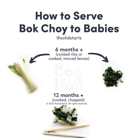 Bok Choy for Babies - First Foods for Baby - Solid Starts