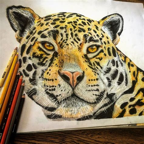 Realistic Jaguar | Jaguar, Animals, Artwork