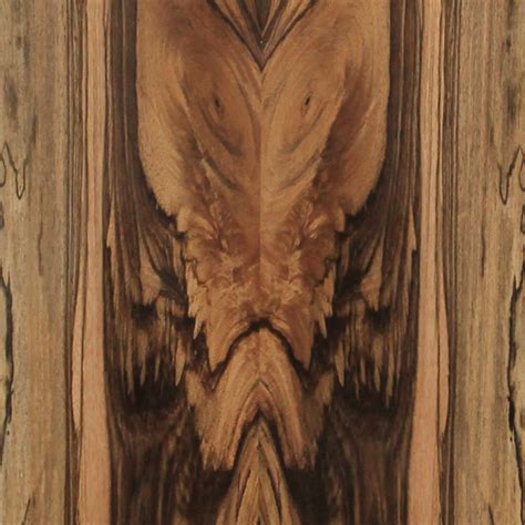 Spalted Mango Schorn Groh Furniere Veneers