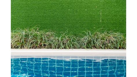 Preparación de la piscina para disfrutar el verano al máximo Plantas