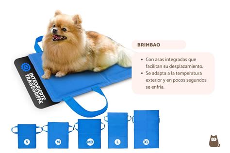 Las Mejores Mantas Refrescantes Para Perros