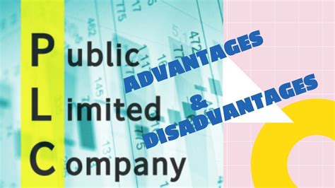 Advantages And Disadvantages Of Public And Private Limited Companies