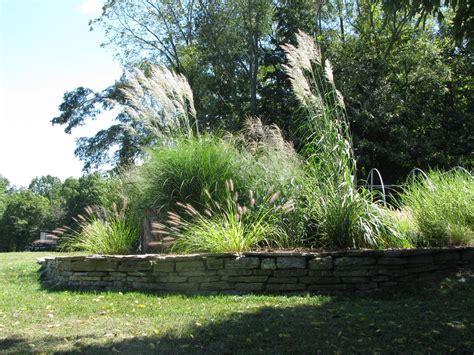 16 Ornamental Grass Garden Ideas : Garden Design